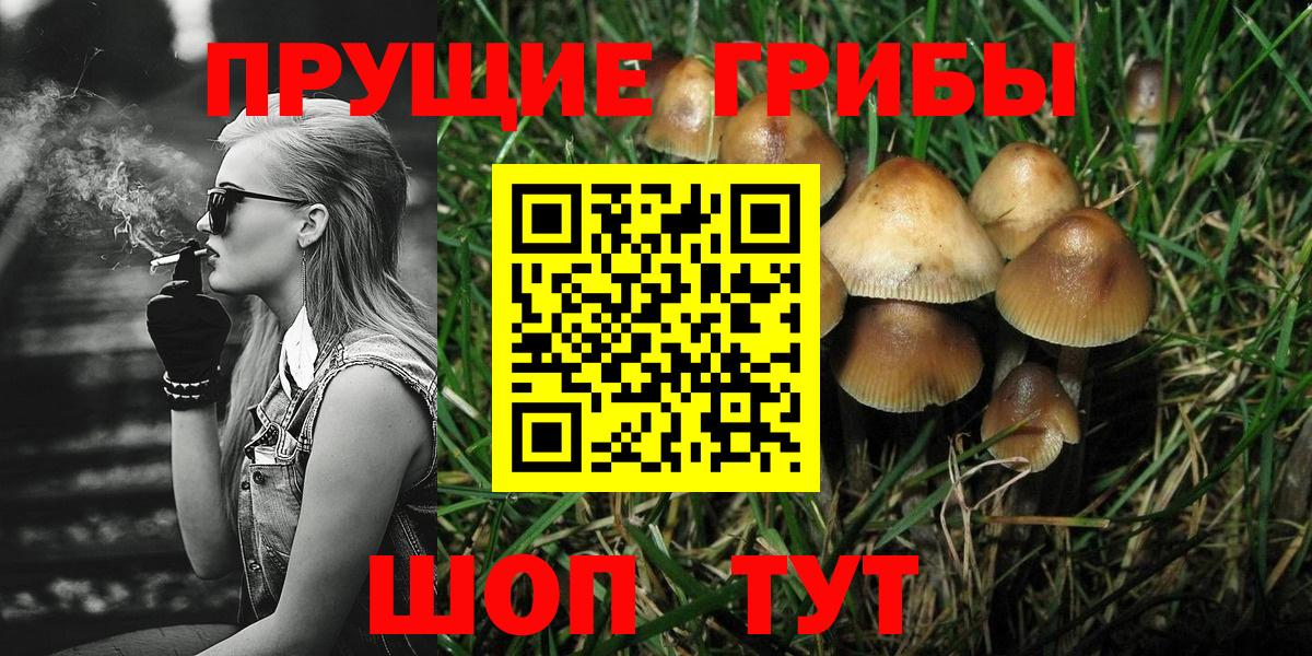 Альметьевск  Псилоцибиновые грибы прущие грибы  Вход с VPN  Галлюциногенные грибы мицелий 